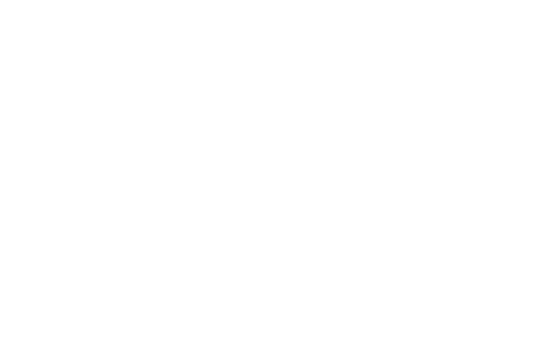OFFICIAL SELECTION - Chicago Palestine Film Festival - 2023