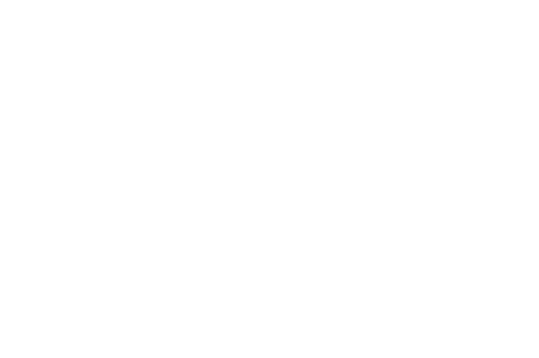 OFFICIAL SELECTION - Arab Film Festival Arab American National Museum - 2023 3