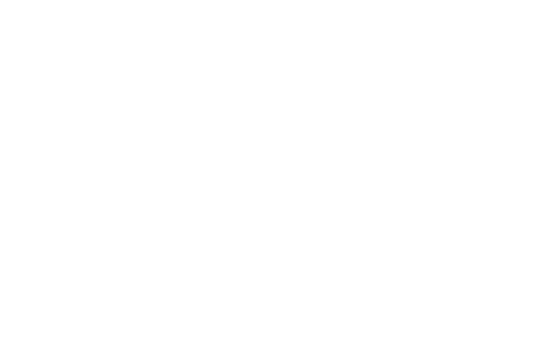 OFFICIAL SELECTION - INCA IMPERIAL INTERNATIONAL FILM FESTIVAL - 2023 2