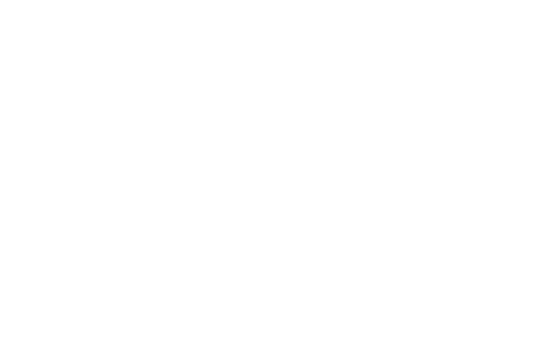 OFFICIAL SELECTION - San Diego International Film Festival - 2023